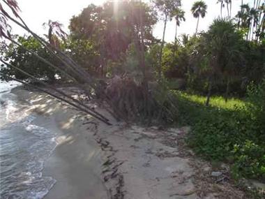 Building Plot for sale in Placentia Village (Stann Creek District)
