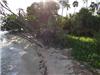 Land/Ruins for sale in Placentia Village (Stann Creek District)