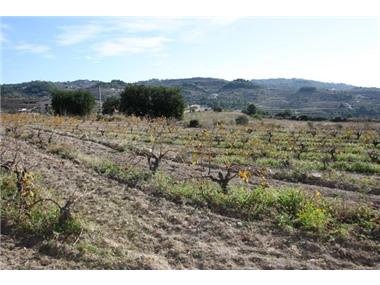 Plot for sale in Benissa (Valencia)