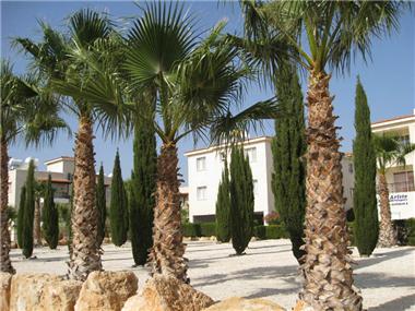 Apartment/flat for sale in Chloraka (Paphos)