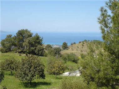 Miscellaneous for sale in Pelathousa (Paphos)