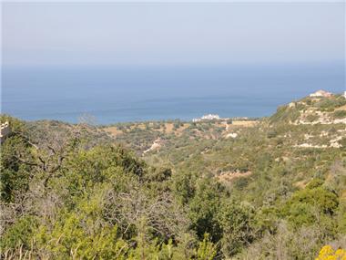 Miscellaneous for sale in Neo Chorio (Paphos)