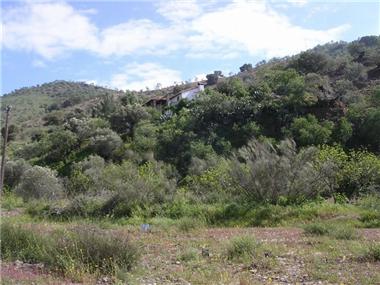 Agricultural for sale in Alora (Andalucia)