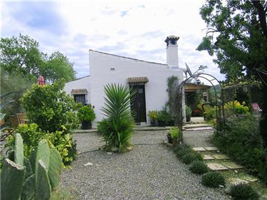 Agricultural for sale in Almogia (Andalucia)