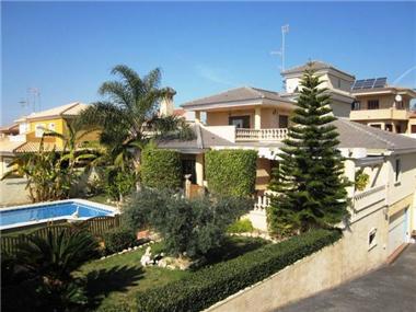 Miscellaneous for sale in Torrevieja (Valencia)