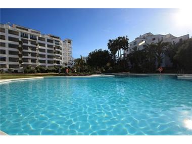 Miscellaneous for sale in Puerto Banus (Andalucia)