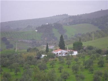Agricultural for sale in Casarabonela (Andalucia)