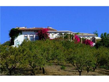 Miscellaneous for sale in Competa (Andalucia)