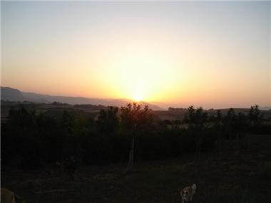 Agricultural for sale in Coin (Andalucia)