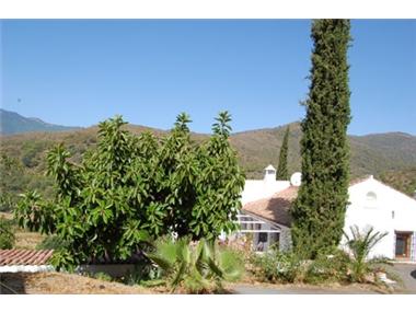 Agricultural for sale in Estepona (Andalucia)