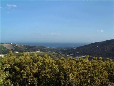 Miscellaneous for sale in Frigiliana (Andalucia)