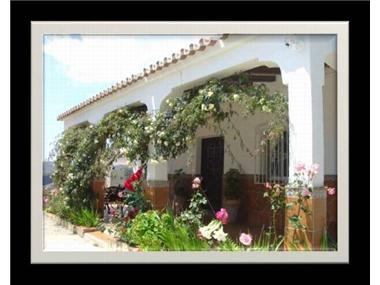 Miscellaneous for sale in Frigiliana (Andalucia)