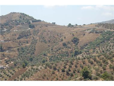 Plot Of Land for sale in Frigiliana (Andalucia)