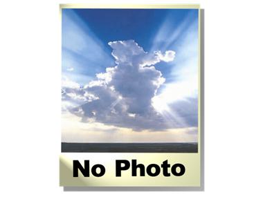 Plot Of Land for sale in Sierra Blanca (Andalucia)