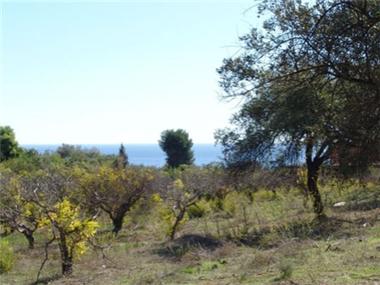 Plot Of Land for sale in Puerto Romano (Andalucia)