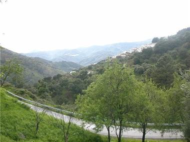 Agricultural for sale in Jubrique (Andalucia)