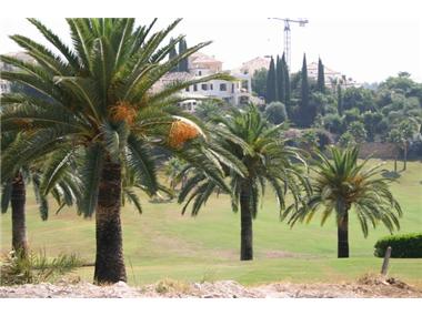 Plot Of Land for sale in Nueva Andalucia (Andalucia)
