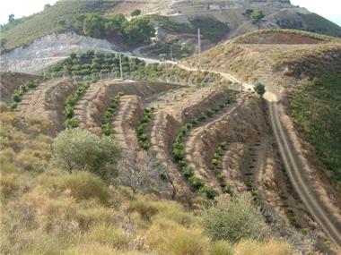 Plot Of Land for sale in Nerja (Andalucia)