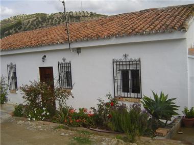 Agricultural for sale in Malaga (Andalucia)