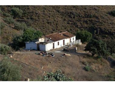 Miscellaneous for sale in Torrox (Andalucia)