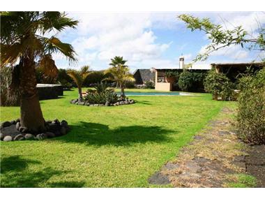 Miscellaneous for sale in Masdache (Canary Islands)