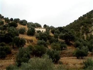 Plot for sale in Villanueva de Mesia (Andalucia)