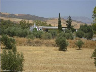 Country House for sale in Alora (Andalucia)
