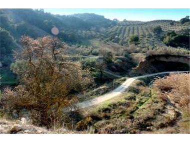 Ruin for sale in Villanueva de Mesia (Andalucia)