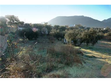 Plot for sale in Loja (Andalucia)