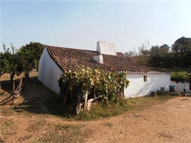 Farmhouse for sale in Borba (Evora)