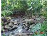Land/Ruins for sale in Koro Island (Eastern)