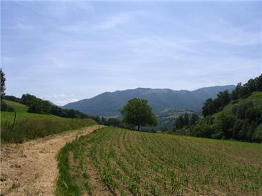 Barn_conversion for sale in Saint-Pe-de-Bigorre (Midi-Pyrenees)