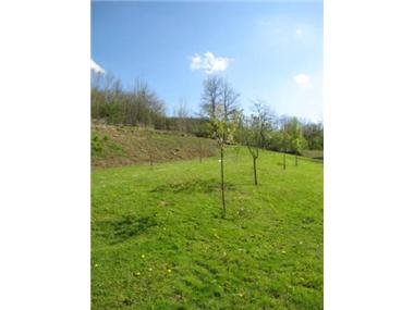 Barn_conversion for sale in Saint-Maur (Midi-Pyrenees)