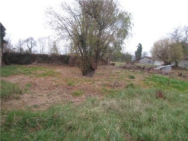 Land for sale in Aste-Beon (Aquitaine)