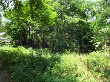 Land for sale in Acapulco de Juarez (Guerrero)