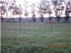 Land/Ruins for sale in Tarimbaro (Michoacan)