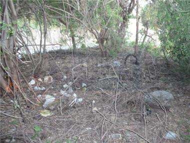 Land for sale in Manzanillo (Colima)