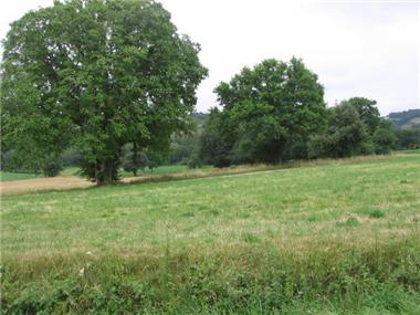 Land for sale in Lalanne (Midi-Pyrenees)
