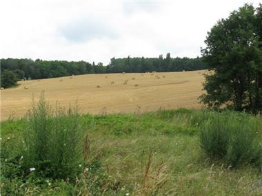 Villa for sale in Saint-Sernin (Aquitaine)