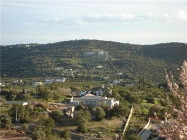 Plot for sale in Sao Bras de Alportel (Faro)