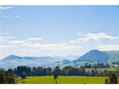 Apartment for sale in Schonenberg (Zurich)