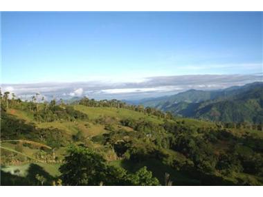Land for sale in Savegre (Puntarenas)