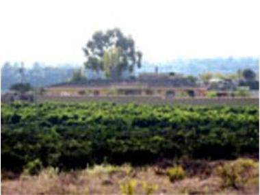 Miscellaneous for sale in Montroy (Valencia)