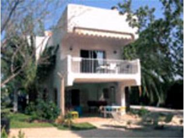 Miscellaneous for sale in Lliria (Valencia)