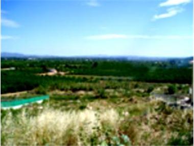 Miscellaneous for sale in Alberic (Valencia)