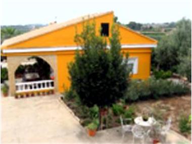 Miscellaneous for sale in Monserrat (Valencia)