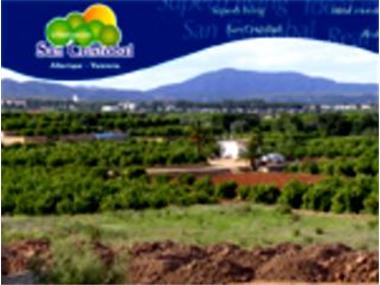 Miscellaneous for sale in Alberic (Valencia)