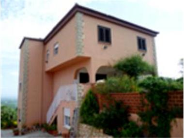 Miscellaneous for sale in Alberic (Valencia)
