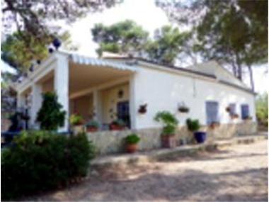 Miscellaneous for sale in Macastre (Valencia)