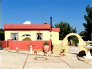 Miscellaneous for sale in Montroy (Valencia)